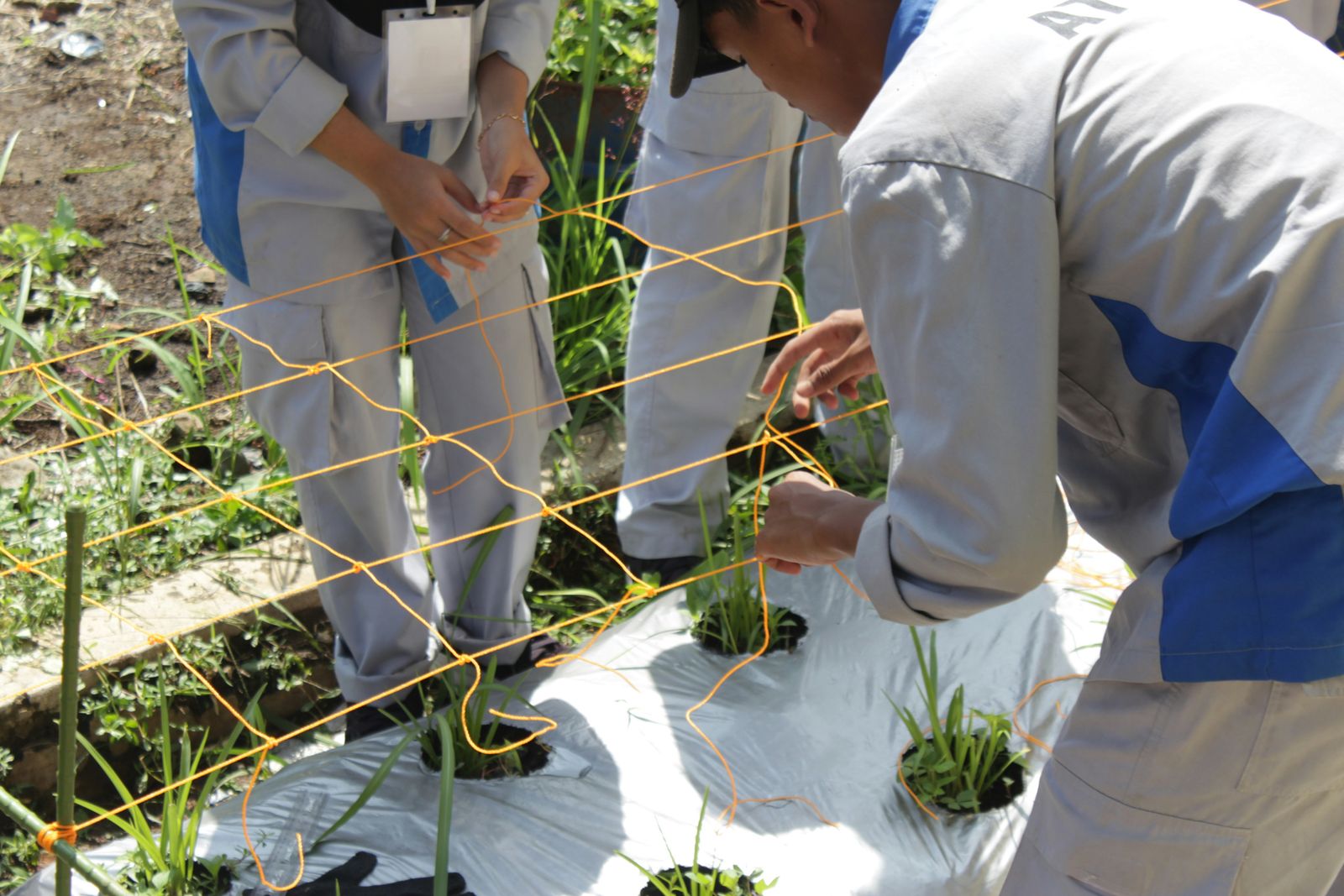 Siswa Agribisnis Tanaman Juara LKS Hidroponik Kabupaten Sukabumi